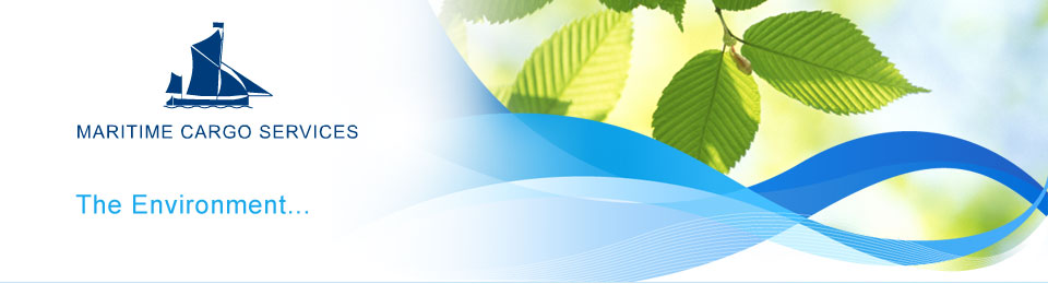 MCS Environment